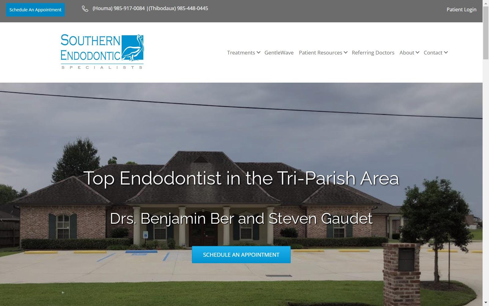 Steven M. Gaudet Jr DDS screenshot