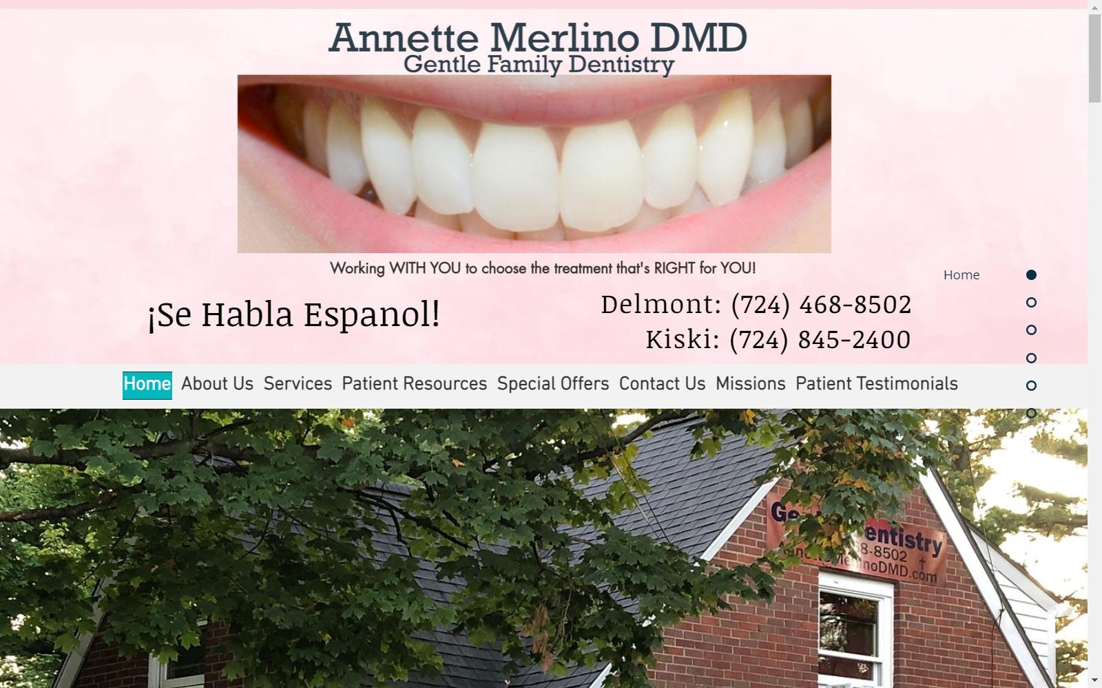Annette Merlino DMD screenshot