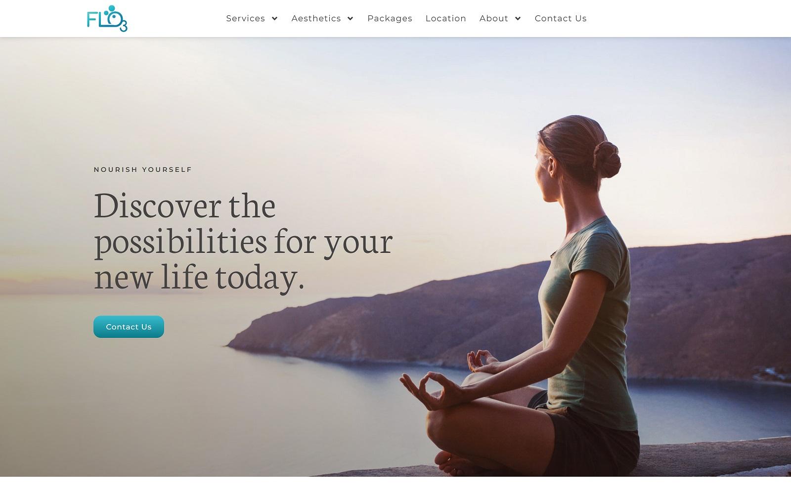 FLO3 screenshot