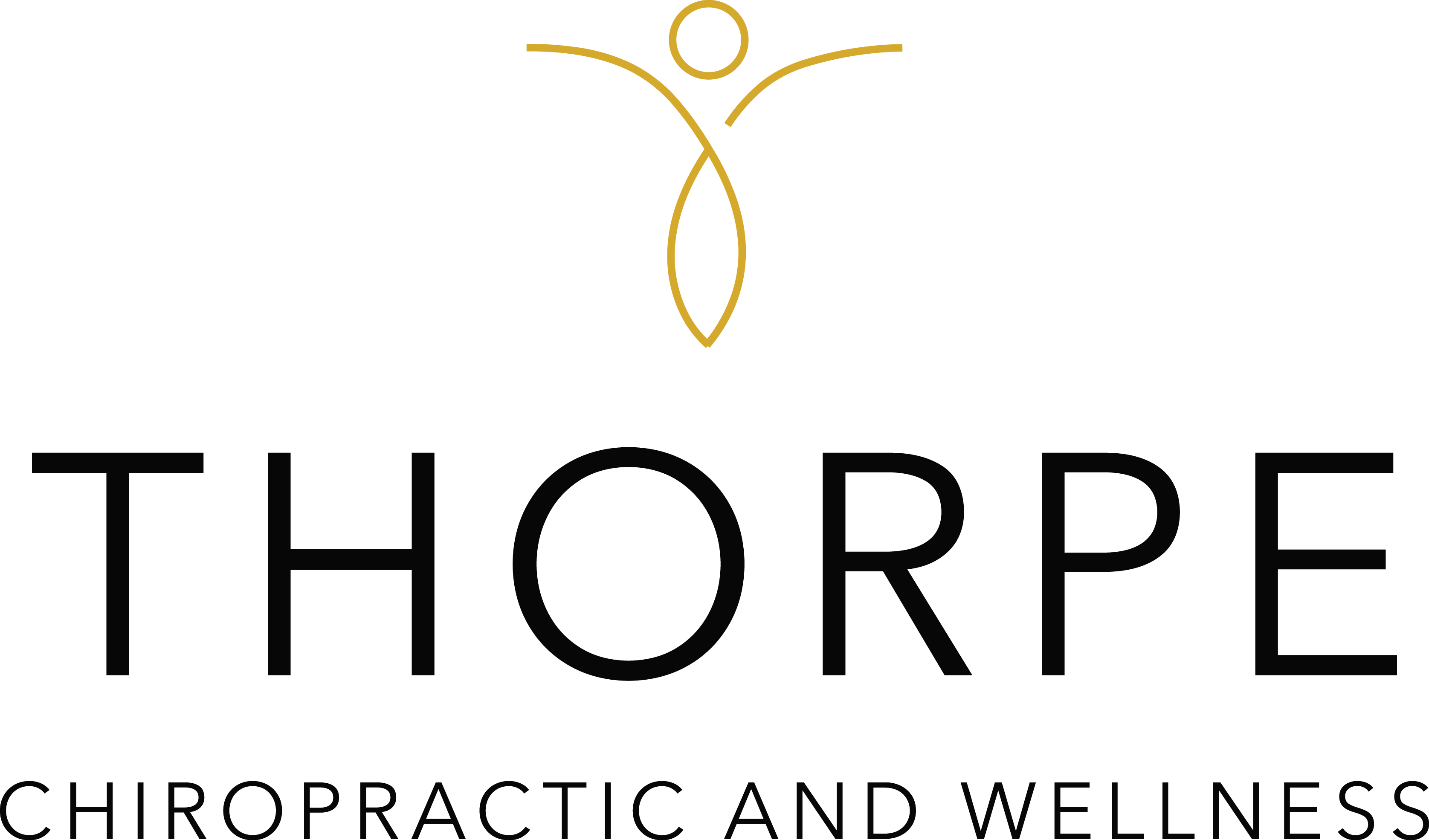 Top 3 Chiropractors In St. Petersburg FL