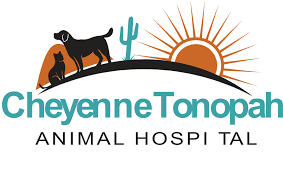 Cheyenne Tonopah Animal Hospital