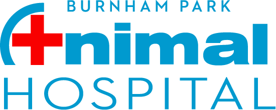 Burnham Park Animal Hospital