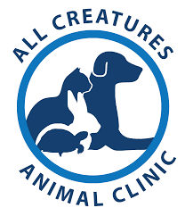 Top 3 Veterinary In Phoenix AZ
