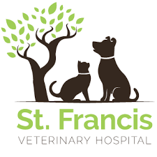 Top 3 Veterinary In San Antonio TX