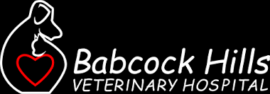 Babcock Hills Veterinary Hospital