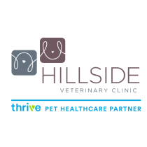 Top 3 Veterinary In Dallas TX