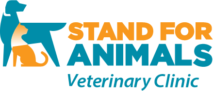 Top 3 Veterinary In Charlotte NC