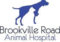 Top 3 Veterinary In Indianapolis IN