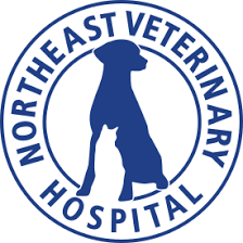 Top 3 Veterinary In Seattle WA