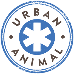 Urban Animal