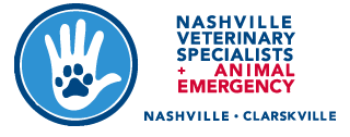 Nashville Veterinary Specialists