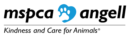 Angell Animal Medical Center
