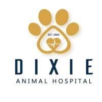 Top 3 Veterinary In Louisville KY