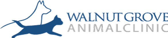 Top 3 Veterinary In Memphis TN