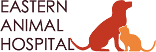 Eastern Animal Hospital