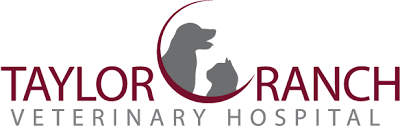 Top 3 Veterinary In Albuquerque NM