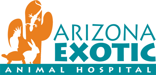 Top 3 Veterinary In Mesa AZ