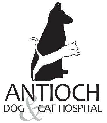 Antioch Dog & Cat Hospital