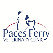 Top 3 Veterinary In Atlanta GA