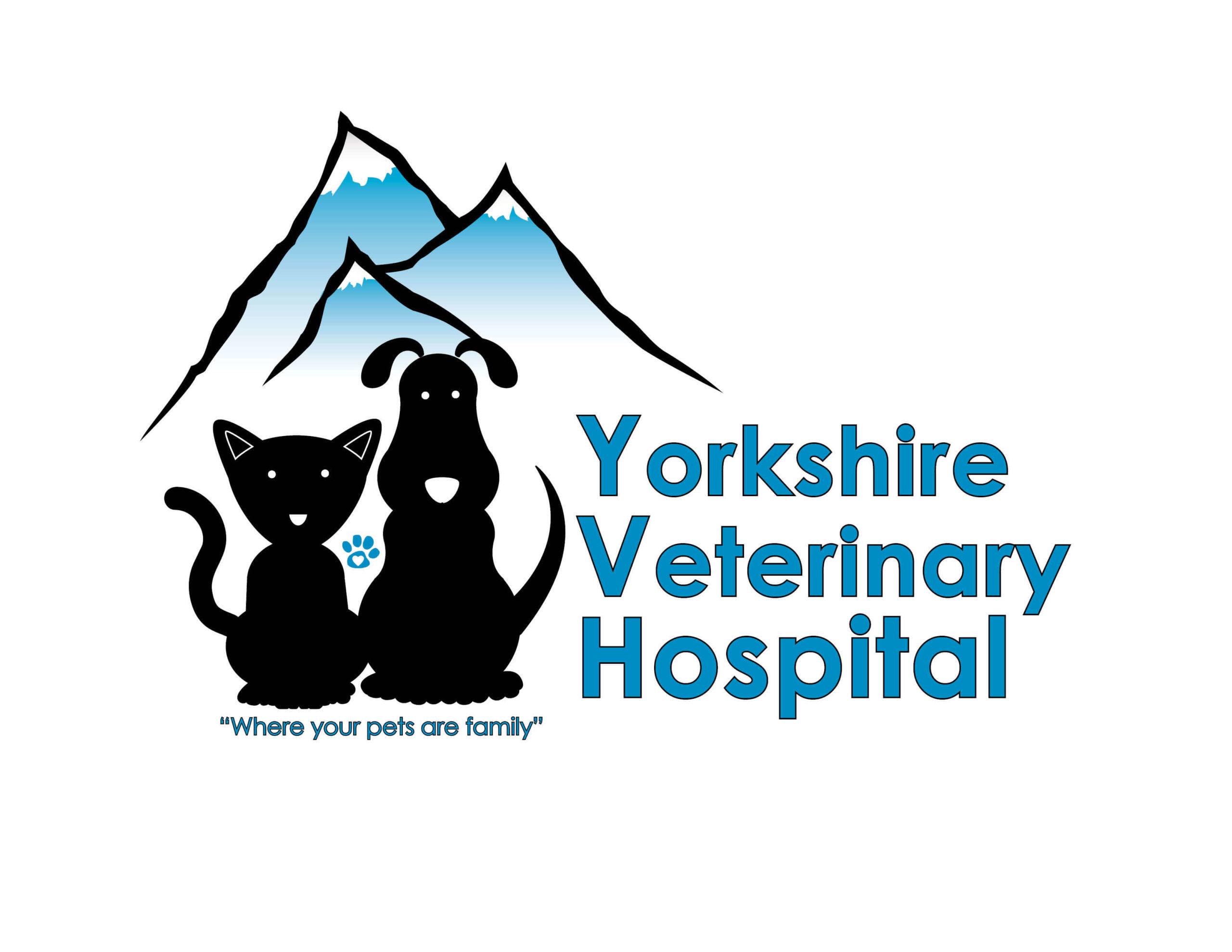 Top 3 Veterinary In Colorado Springs CO
