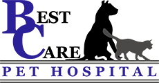 Top 3 Veterinary In Omaha NE