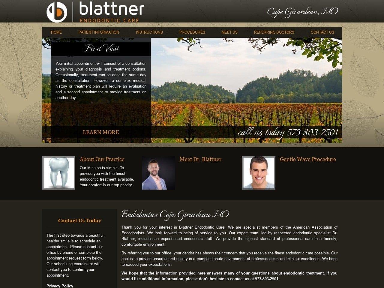 Blattner Endodontic Care