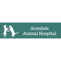 Top 3 Veterinary In Virginia Beach VA