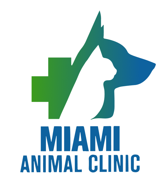 Top 3 Veterinary In Miami FL