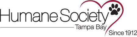 Top 3 Veterinary In Tampa FL