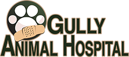 Gully Animal Hospital
