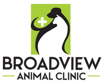 Top 3 Veterinary In Aurora CO