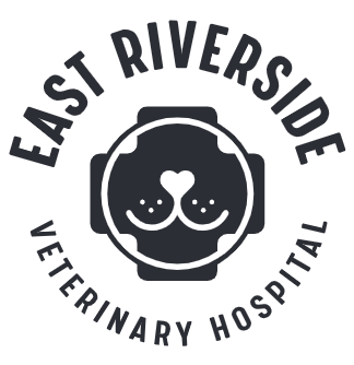 Magazine Street Animal Clinic