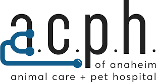 Top 3 Veterinary In Anaheim CA