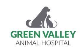 Top 3 Veterinary In Henderson NV