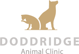 Top 3 Veterinary In Corpus Christi TX