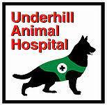 Top 3 Veterinary In Orlando FL