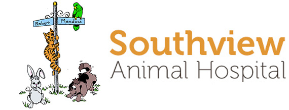 Top 3 Veterinary In St Paul MN