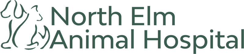 Top 3 Veterinary In Greensboro NC
