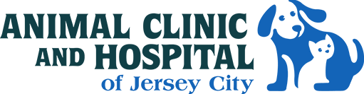 Top 3 Veterinary In Jersey City NJ