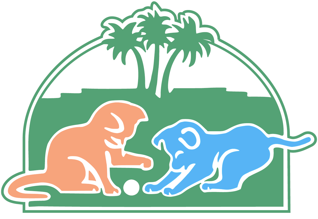 Top 3 Veterinary In Chandler AZ