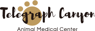 Top 3 Veterinary In Chula Vista CA