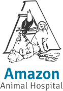 Amazon Animal Hospital