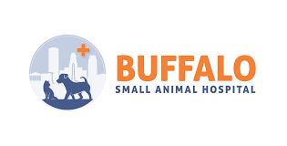 Buffalo Small Animal Hospital