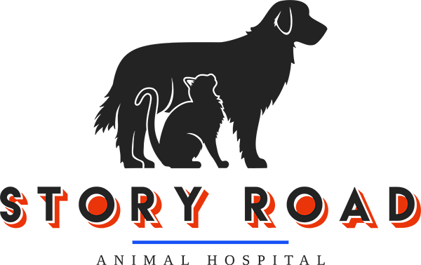 Story Road Animal Hospital