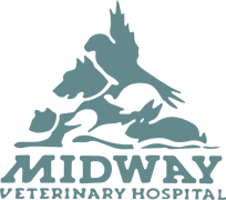 Top 3 Veterinary In Chesapeake VA
