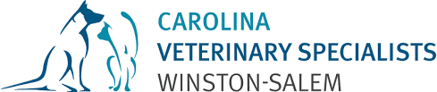 Top 3 Veterinary In Winston-Salem NC