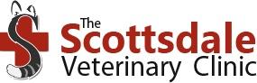 Top 3 Veterinary In Scottsdale AZ