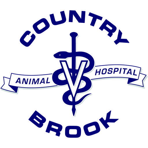 Top 3 Veterinary In Garland TX