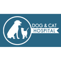 Top 3 Veterinary In Norfolk VA