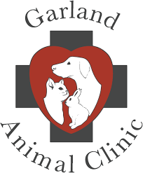Top 3 Veterinary In Spokane WA